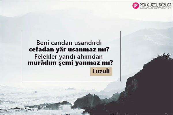 Fuzuli Sözleri